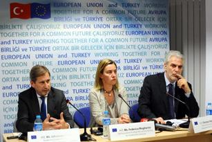 20141205-hahn-turkey.jpg