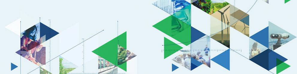 Economic governance