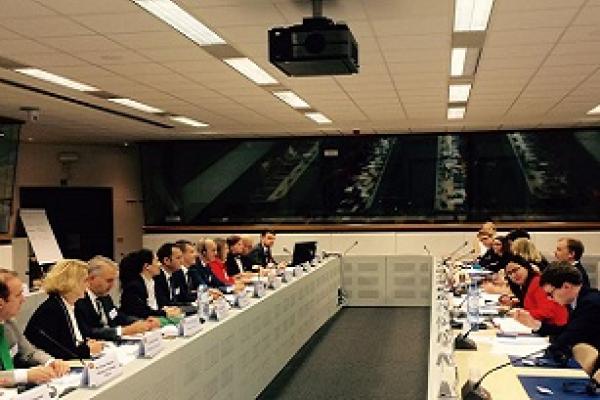 14th meeting of the Stabilisation and Association Committee between the former Yugoslav Republic of Macedonia and the EU Brussels, 29 June 2017