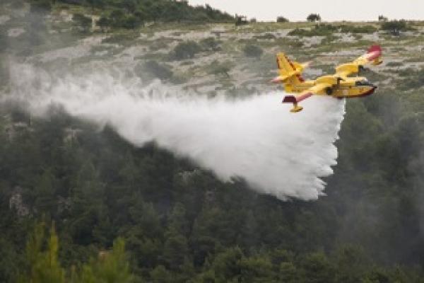 20170810-forest-fires.jpg
