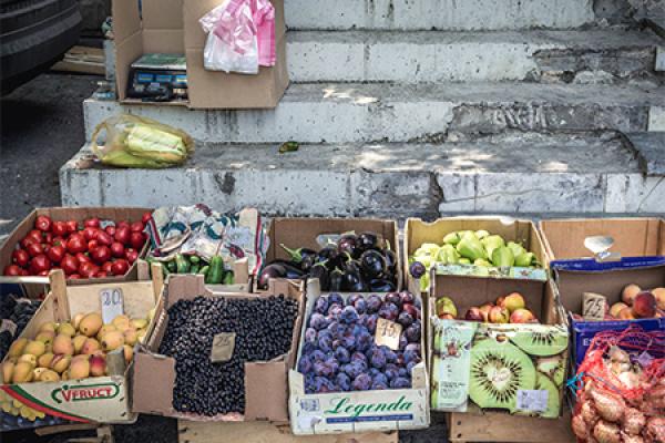 Moldovan agricultural products