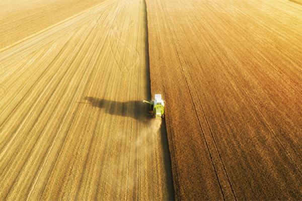 Food security