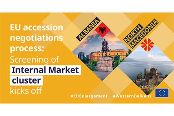 Screening of Internal Market cluster