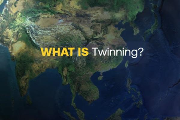 What is Twinning?