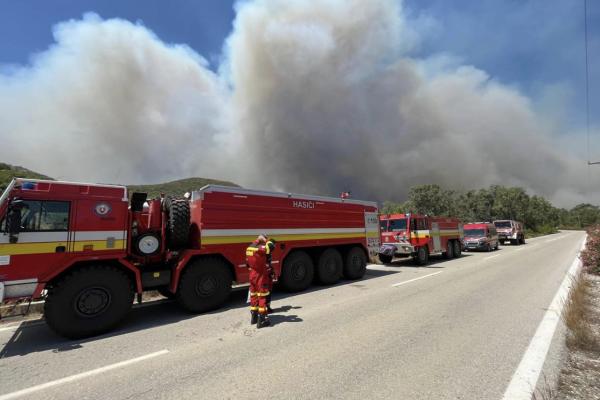 Wildfires